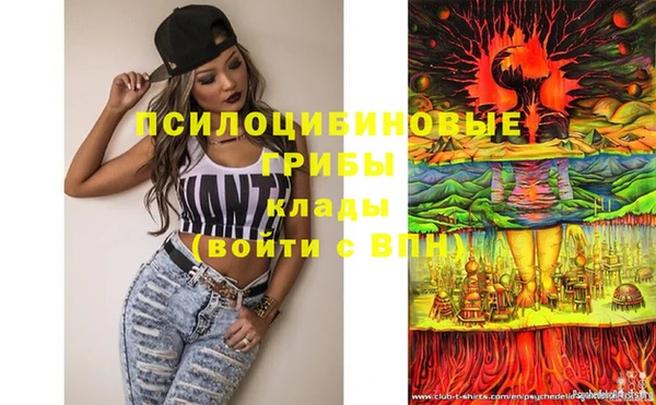 хмурый Кодинск