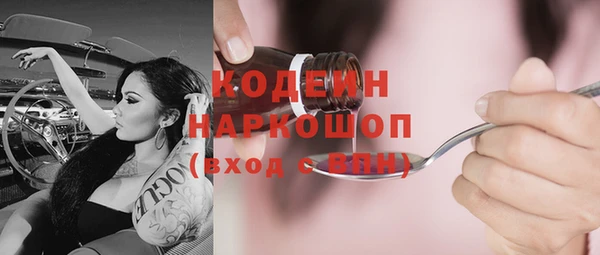 хмурый Кодинск
