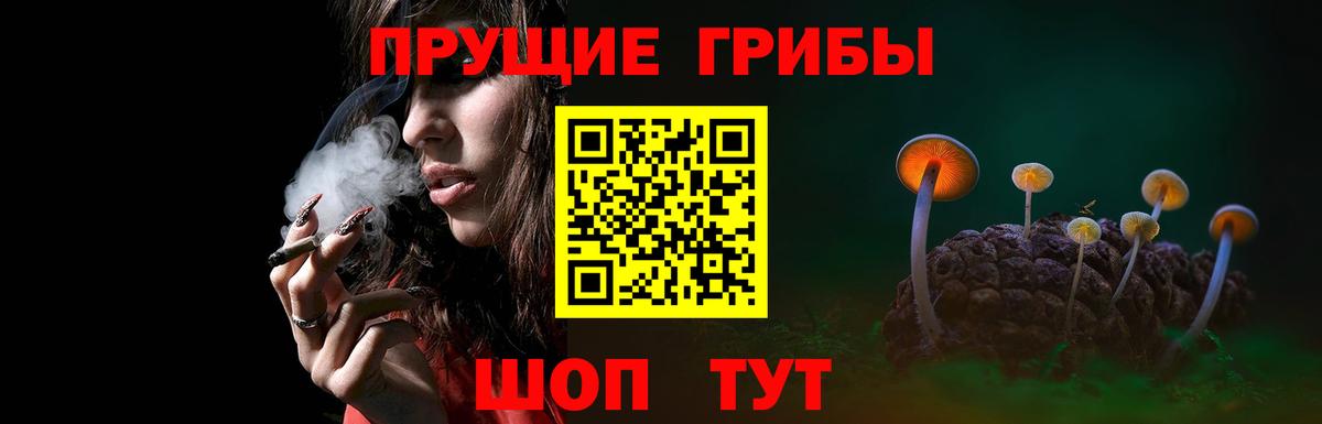 Псилоцибиновые грибы GOLDEN TEACHER Барабинск